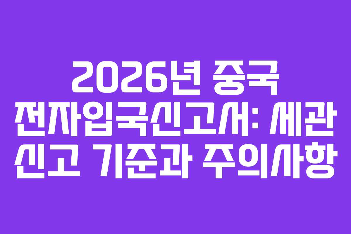 2026년 중국 전자입국신고서: 세관 신고 기준과 주의사항