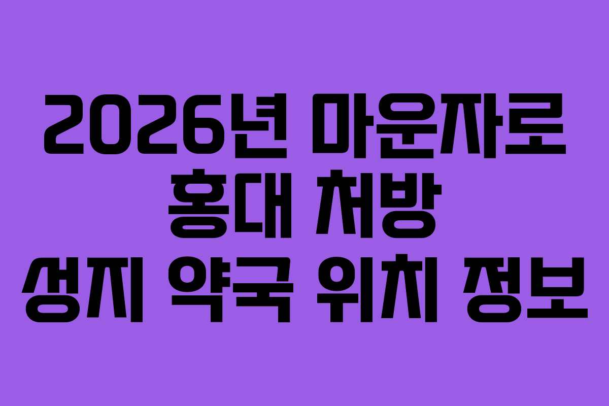 2026년 마운자로 홍대 처방 성지 약국 위치 정보