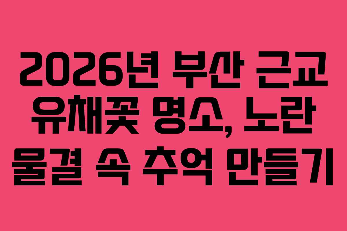 2026년-부산-근교-유채꽃-명소,-노란-물결-속-추억-만들기
