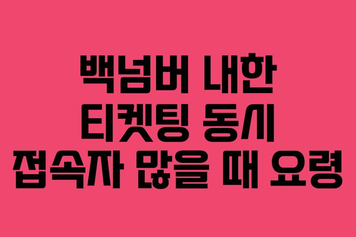 백넘버-내한-티켓팅-동시-접속자-많을-때-요령