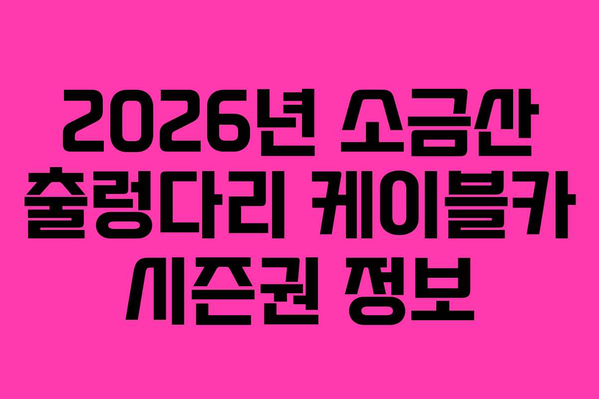 2026년 소금산 출렁다리 케이블카 시즌권 정보