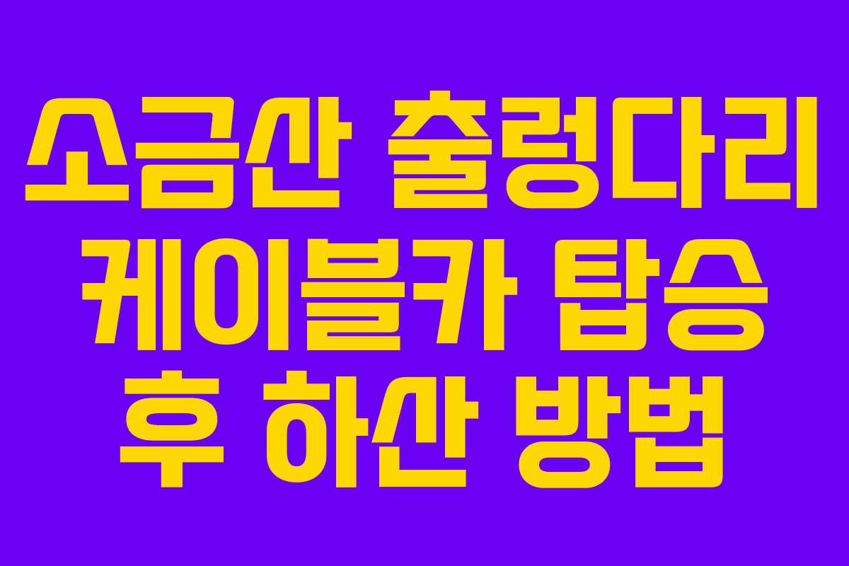 소금산 출렁다리 케이블카 탑승 후 하산 방법
