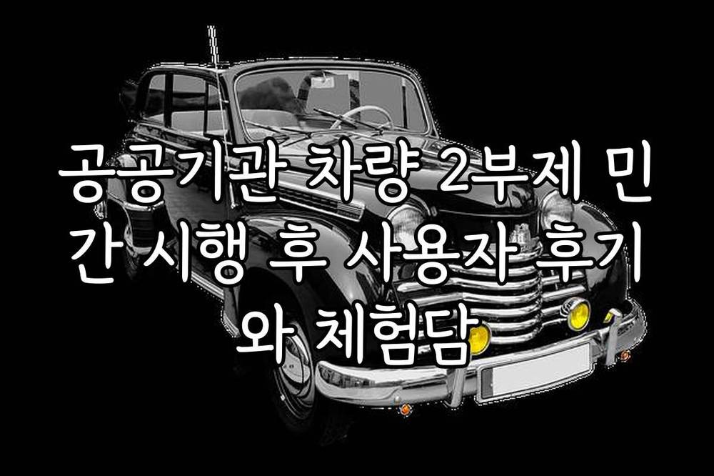 공공기관 차량 2부제 민간 시행 후 사용자 후기와 체험담
