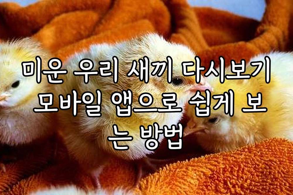미운 우리 새끼 다시보기 모바일 앱으로 쉽게 보는 방법