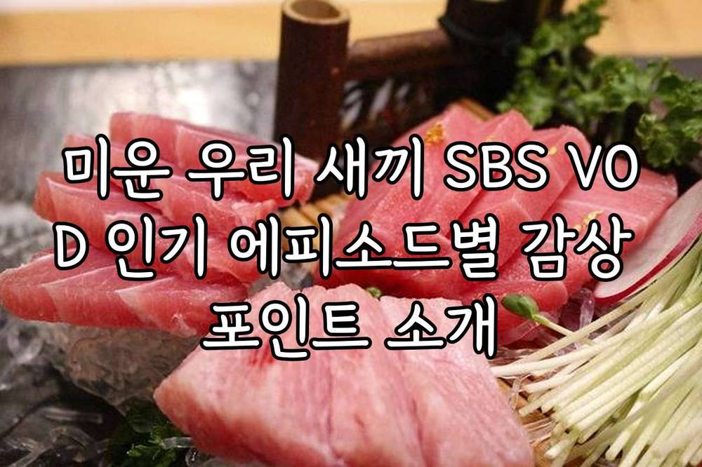 미운 우리 새끼 SBS VOD 인기 에피소드별 감상 포인트 소개