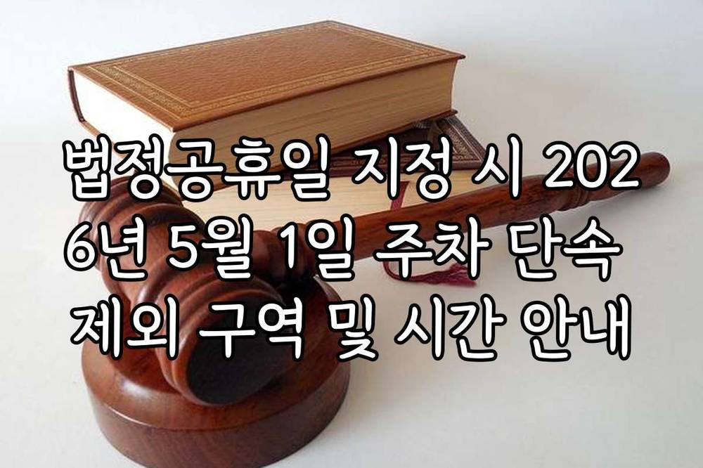 법정공휴일 지정 시 2026년 5월 1일 주차 단속 제외 구역 및 시간 안내