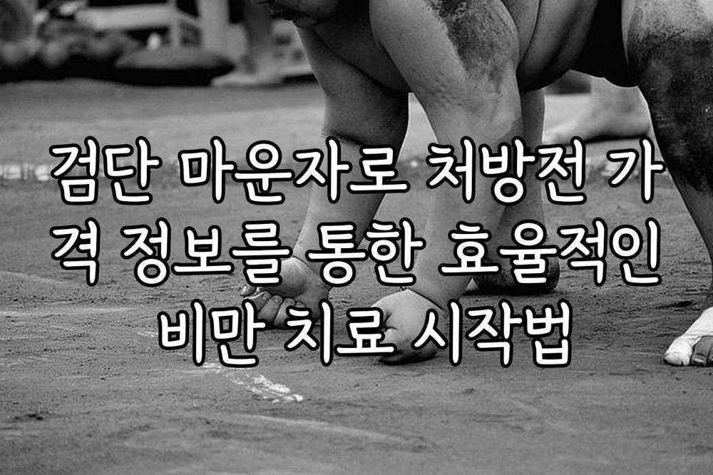 검단 마운자로 처방전 가격 정보를 통한 효율적인 비만 치료 시작법
