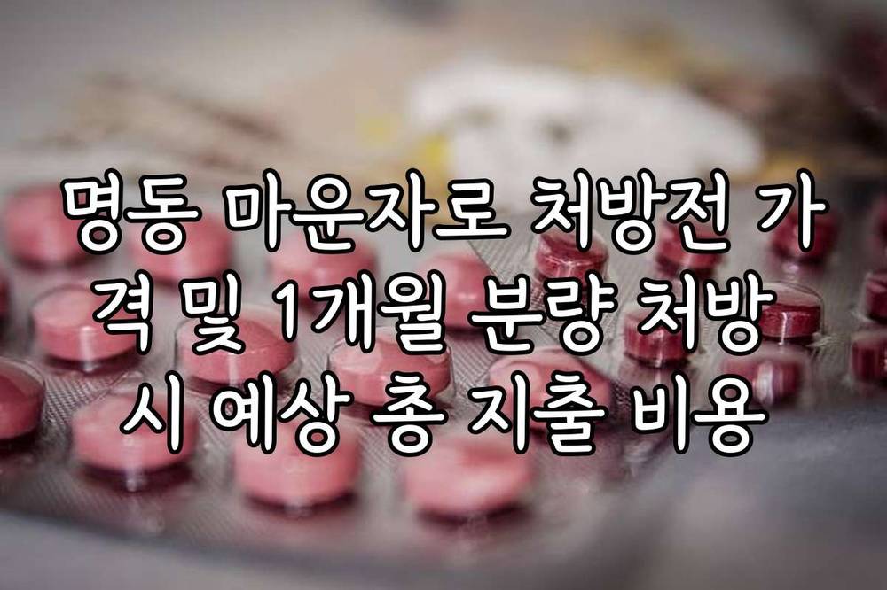 명동 마운자로 처방전 가격 및 1개월 분량 처방 시 예상 총 지출 비용