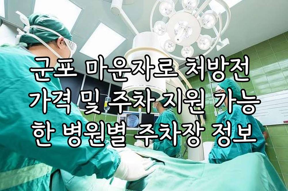 군포 마운자로 처방전 가격 및 주차 지원 가능한 병원별 주차장 정보