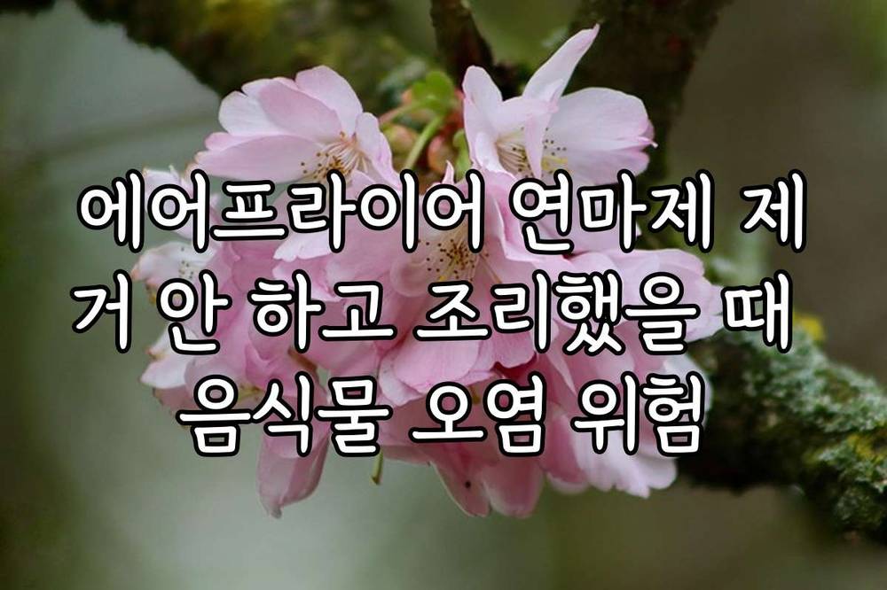 에어프라이어 연마제 제거 안 하고 조리했을 때 음식물 오염 위험