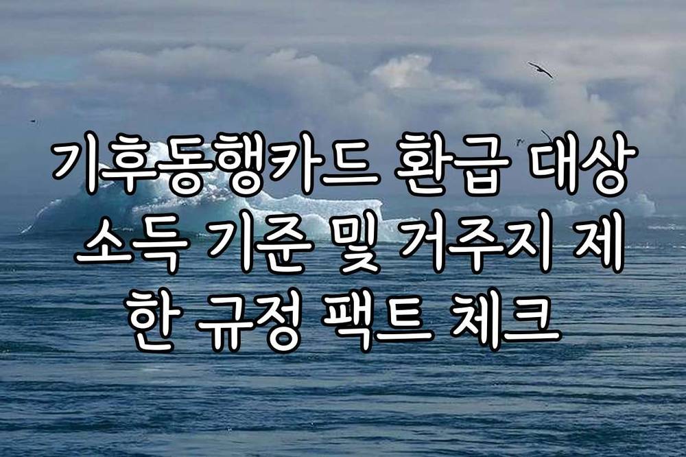 기후동행카드 환급 대상 소득 기준 및 거주지 제한 규정 팩트 체크