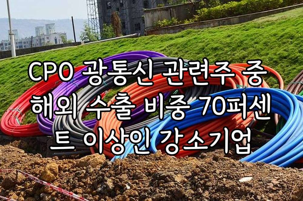 CPO 광통신 관련주 중 해외 수출 비중 70퍼센트 이상인 강소기업