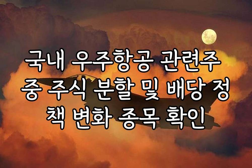 국내 우주항공 관련주 중 주식 분할 및 배당 정책 변화 종목 확인