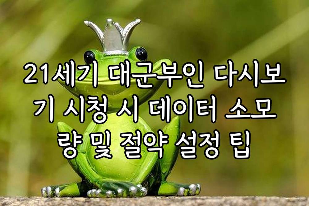 21세기 대군부인 다시보기 시청 시 데이터 소모량 및 절약 설정 팁