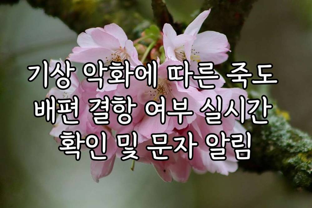 기상 악화에 따른 죽도 배편 결항 여부 실시간 확인 및 문자 알림