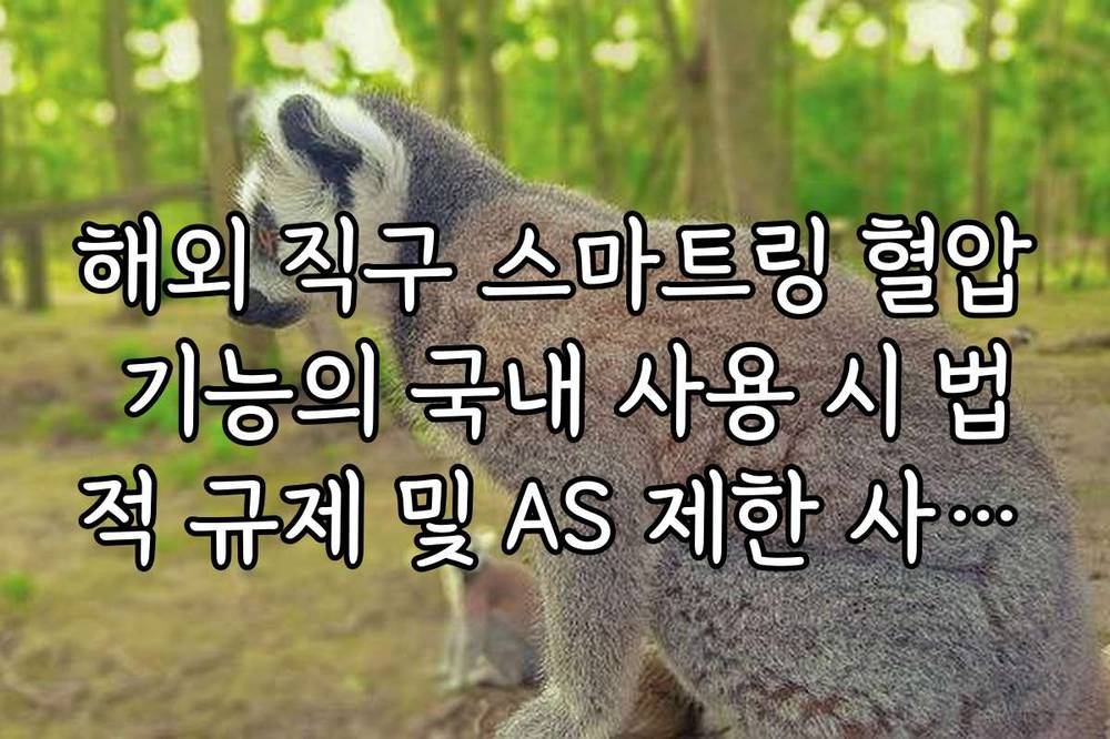 해외 직구 스마트링 혈압 기능의 국내 사용 시 법적 규제 및 AS 제한 사항 가이드