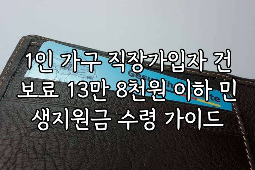 1인 가구 직장가입자 건보료 13만 8천원 이하 민생지원금 수령 가이드