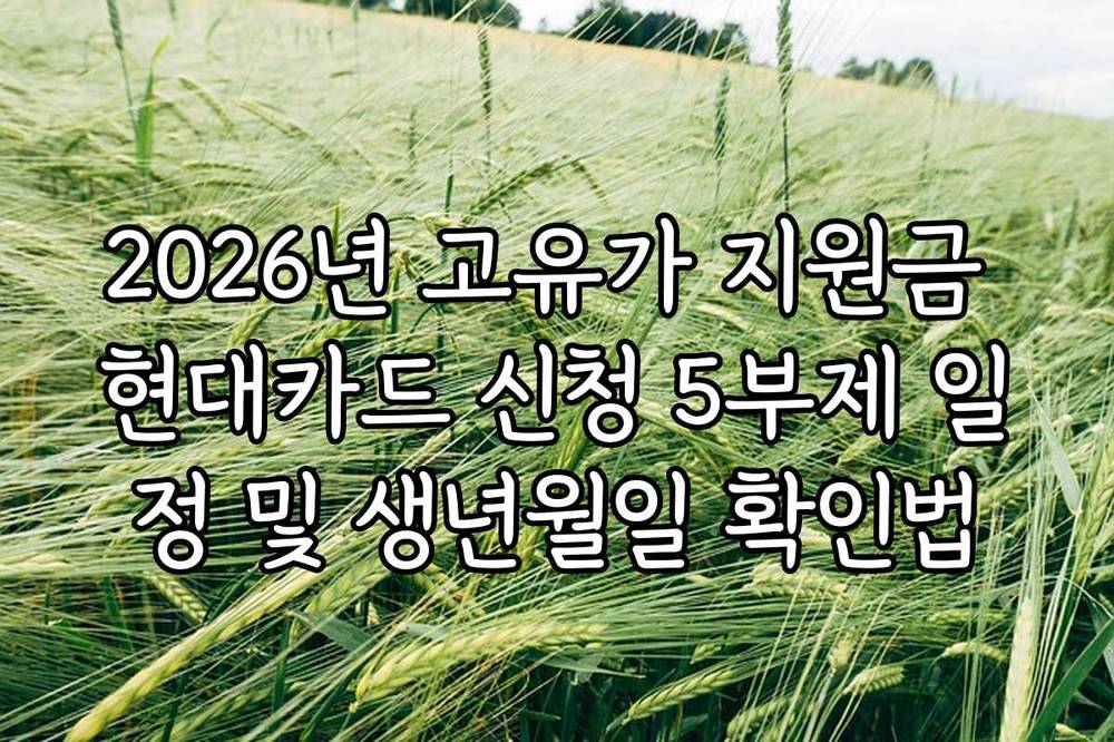 2026년 고유가 지원금 현대카드 신청 5부제 일정 및 생년월일 확인법