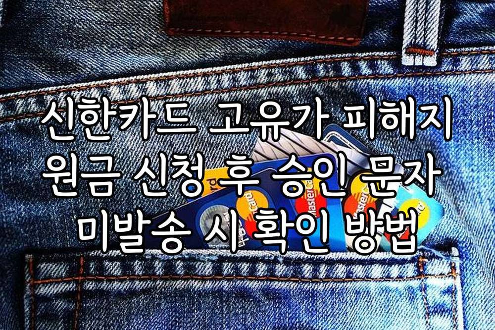 신한카드 고유가 피해지원금 신청 후 승인 문자 미발송 시 확인 방법