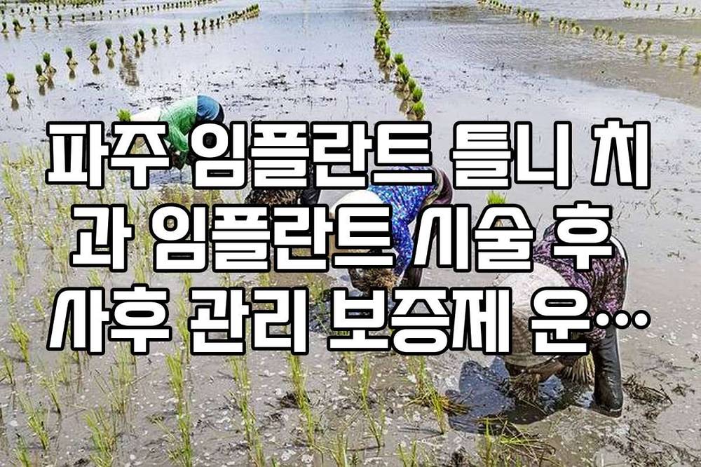 파주 임플란트 틀니 치과 임플란트 시술 후 사후 관리 보증제 운영 확인