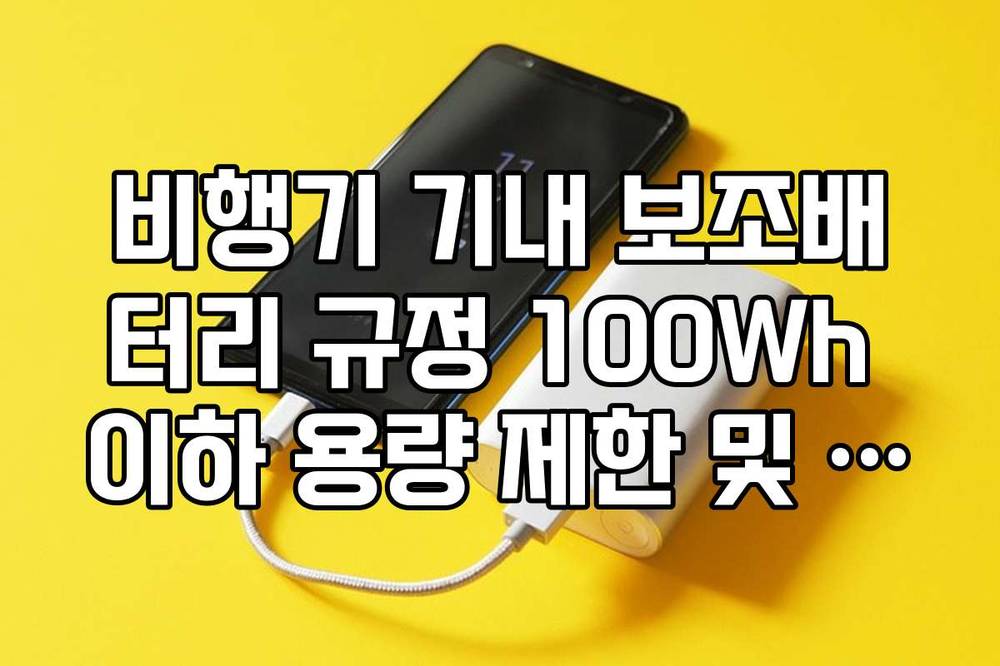 비행기 기내 보조배터리 규정 100Wh 이하 용량 제한 및 반입 개수 정리
