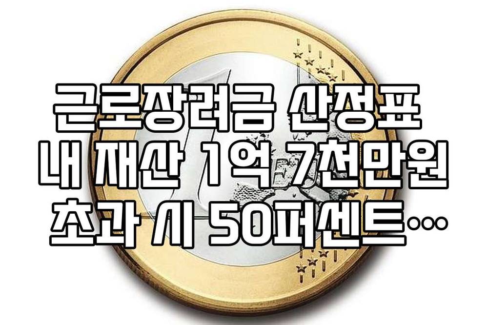 근로장려금 산정표 내 재산 1억 7천만원 초과 시 50퍼센트 감액 적용표