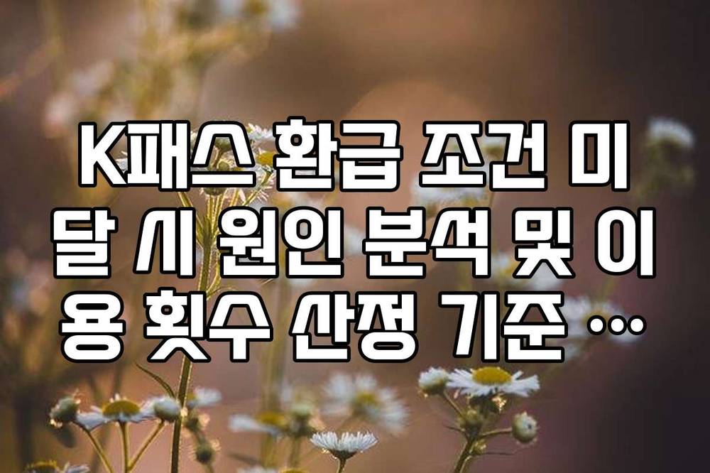 K패스 환급 조건 미달 시 원인 분석 및 이용 횟수 산정 기준 가이드