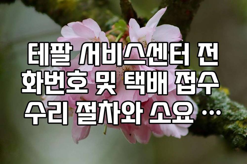 테팔 서비스센터 전화번호 및 택배 접수 수리 절차와 소요 기간 가이드