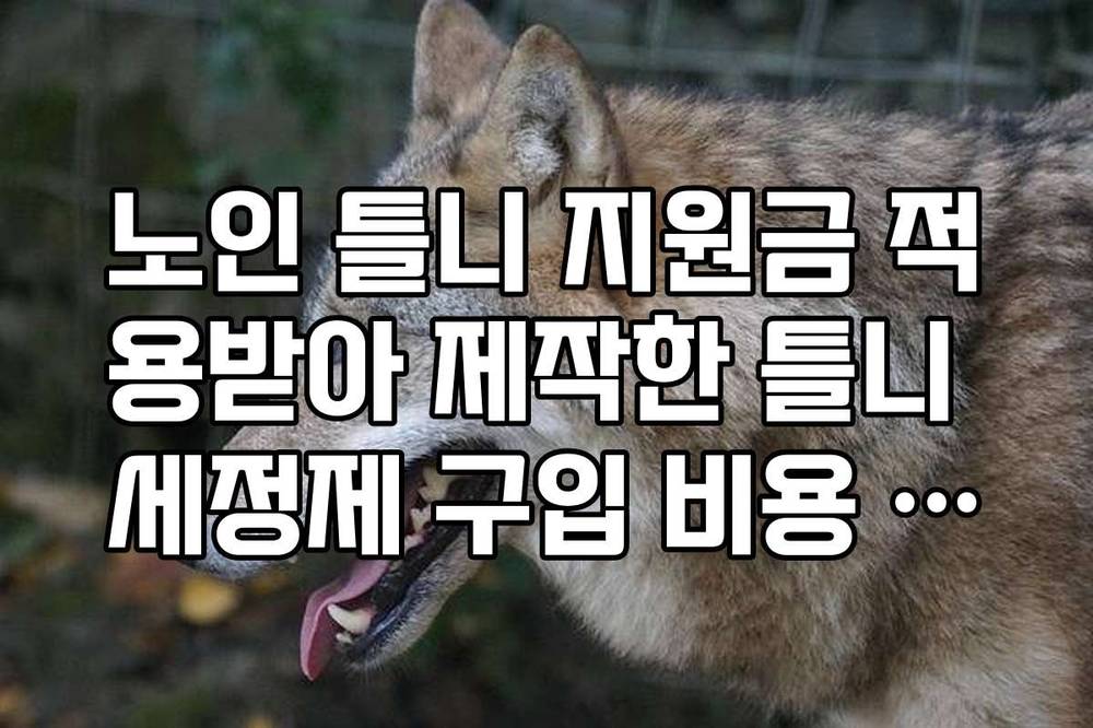 노인 틀니 지원금 적용받아 제작한 틀니 세정제 구입 비용 포함 여부