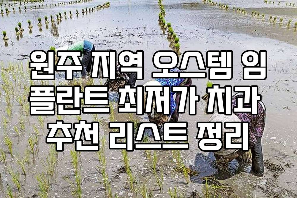원주 지역 오스템 임플란트 최저가 치과 추천 리스트 정리