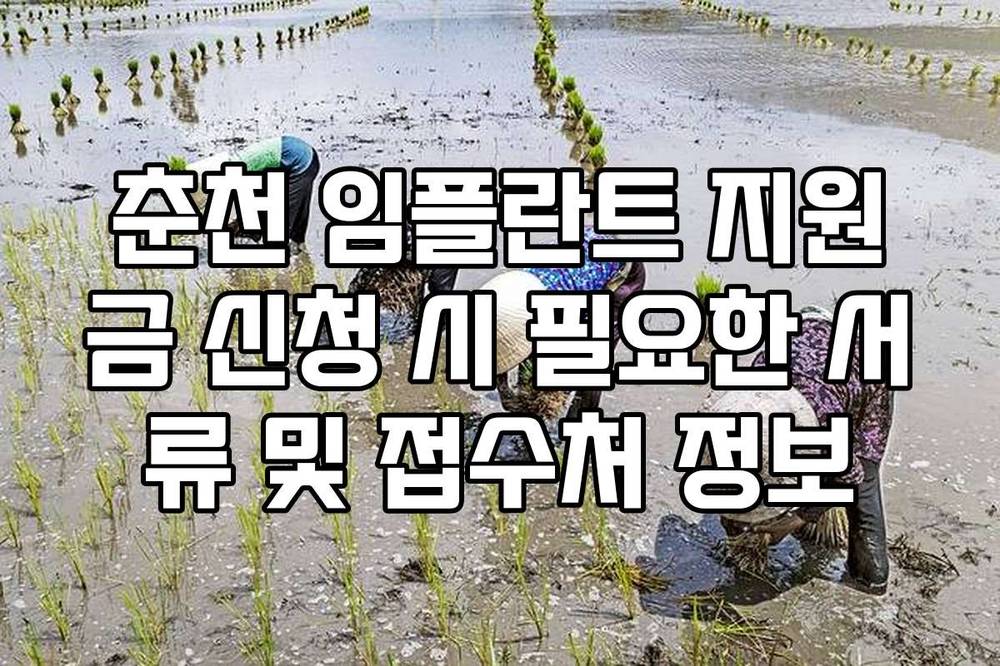 춘천 임플란트 지원금 신청 시 필요한 서류 및 접수처 정보