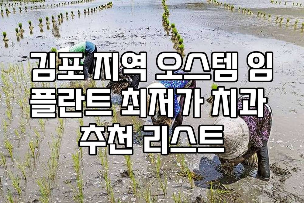 김포 지역 오스템 임플란트 최저가 치과 추천 리스트