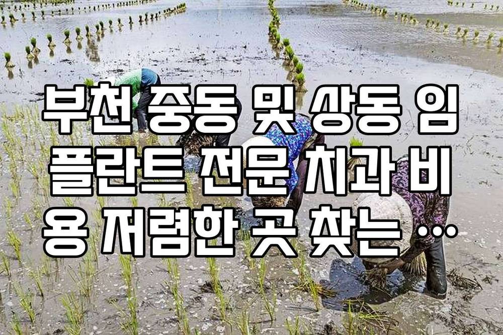 부천 중동 및 상동 임플란트 전문 치과 비용 저렴한 곳 찾는 방법