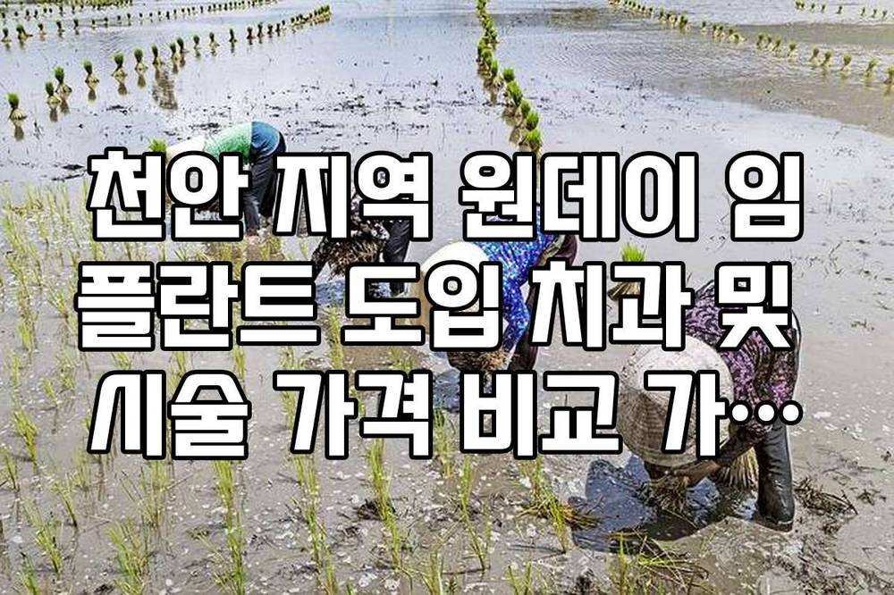 천안 지역 원데이 임플란트 도입 치과 및 시술 가격 비교 가이드