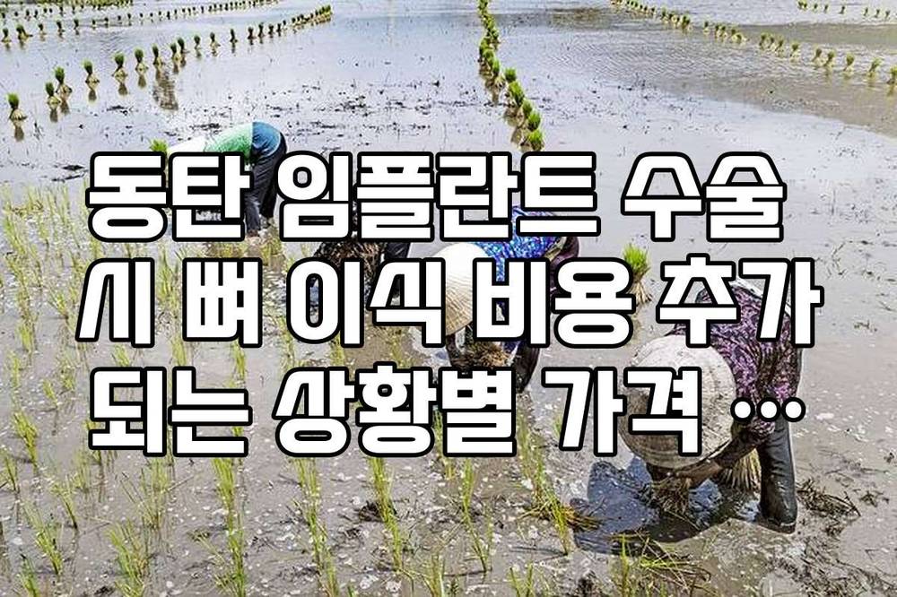 동탄 임플란트 수술 시 뼈 이식 비용 추가되는 상황별 가격 가이드
