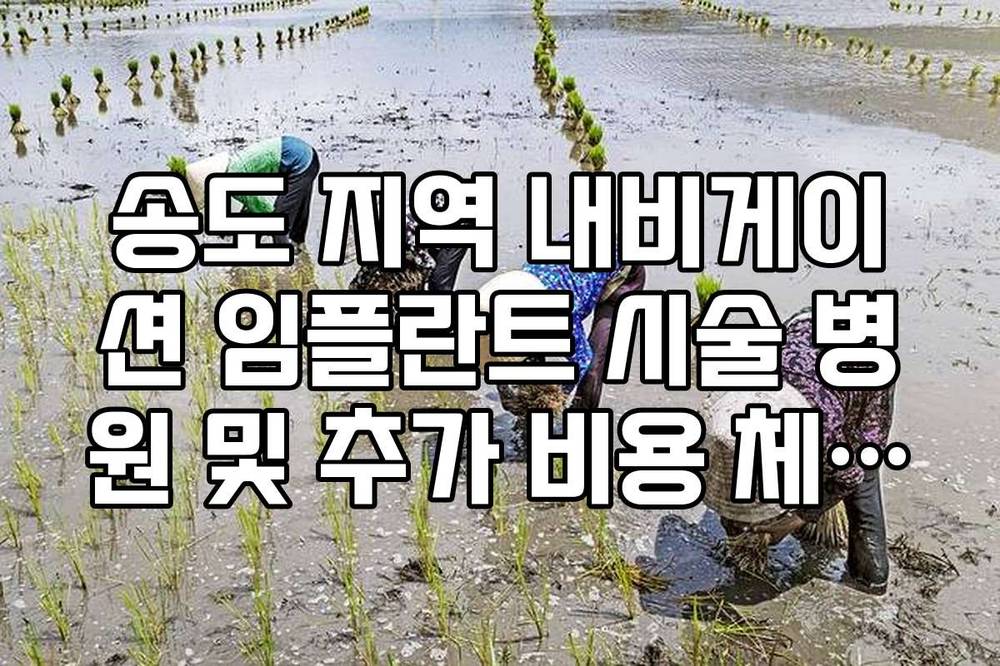 송도 지역 내비게이션 임플란트 시술 병원 및 추가 비용 체크리스트
