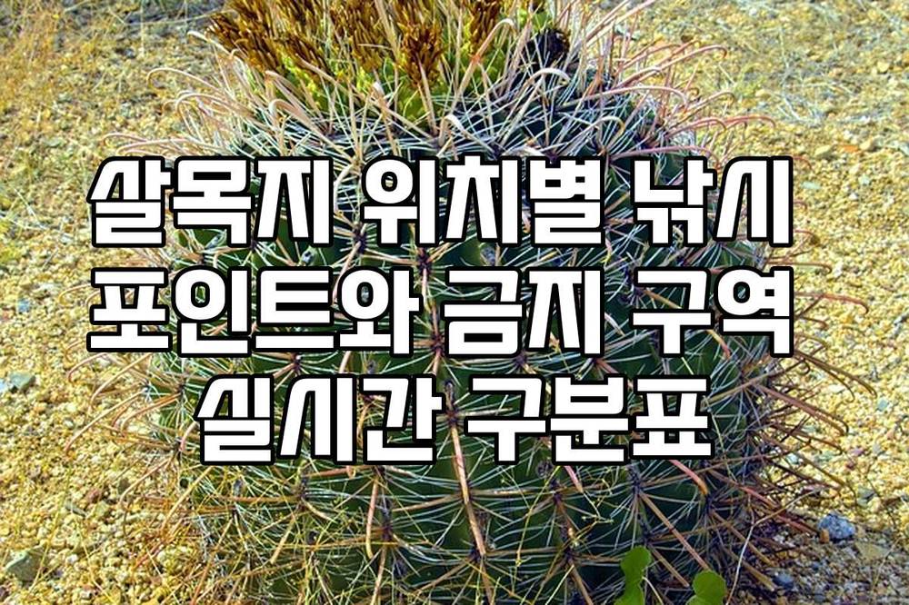 살목지 위치별 낚시 포인트와 금지 구역 실시간 구분표