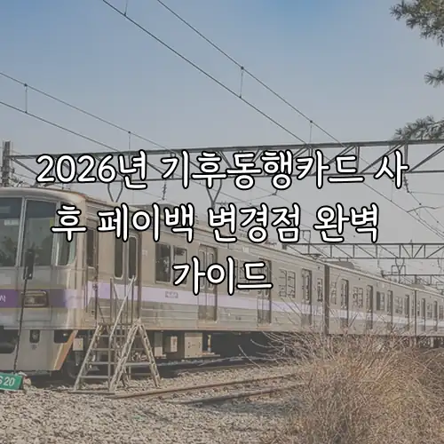 2026년 기후동행카드 사후 페이백 변경점 완벽 가이드