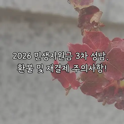 2026 민생지원금 3차 성남, 환불 및 재결제 주의사항!