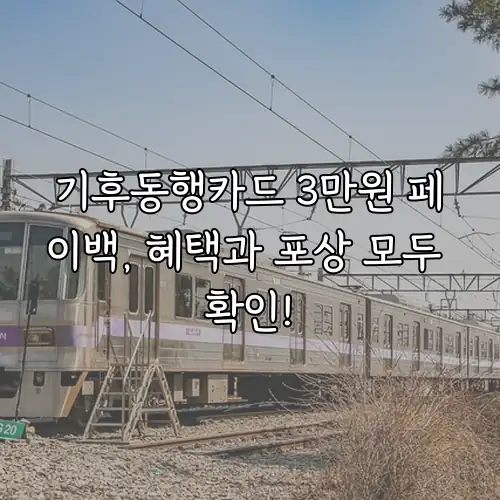 기후동행카드 3만원 페이백, 혜택과 포상 모두 확인!