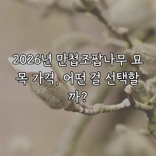 2026년 만첩조팝나무 묘목 가격, 어떤 걸 선택할까?