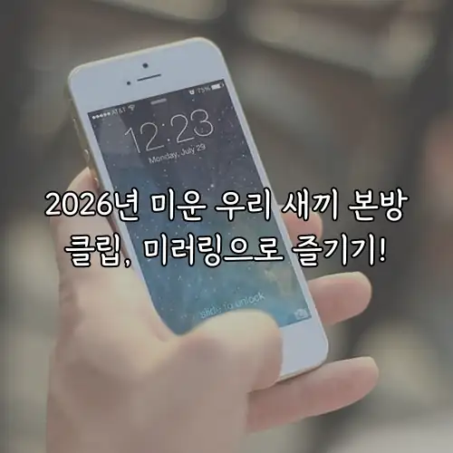2026년 미운 우리 새끼 본방클립, 미러링으로 즐기기!