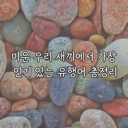 미운 우리 새끼에서 가장 인기 있는 유행어 총정리