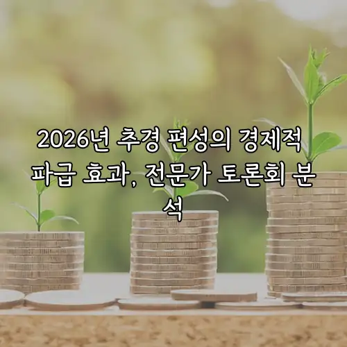 2026년 추경 편성의 경제적 파급 효과, 전문가 토론회 분석