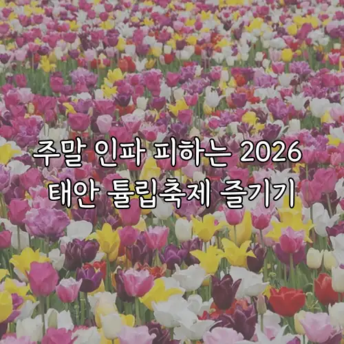 주말 인파 피하는 2026 태안 튤립축제 즐기기