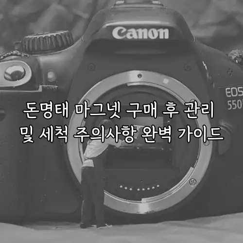 돈명태 마그넷 구매 후 관리 및 세척 주의사항 완벽 가이드