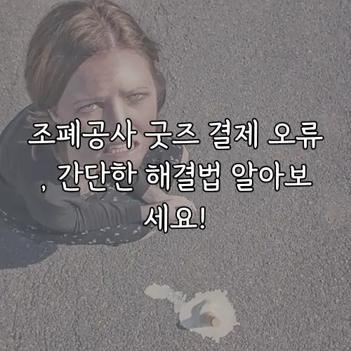 조폐공사 굿즈 결제 오류, 간단한 해결법 알아보세요!