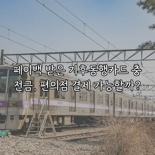 페이백 받은 기후동행카드 충전금, 편의점 결제 가능할까?