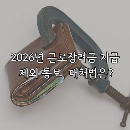 2026년 근로장려금 지급 제외 통보, 대처법은?
