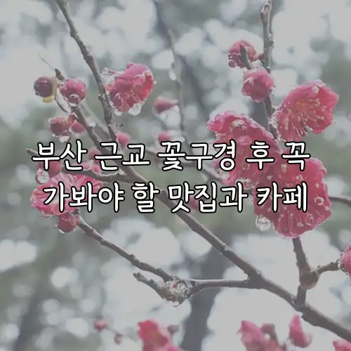 부산 근교 꽃구경 후 꼭 가봐야 할 맛집과 카페